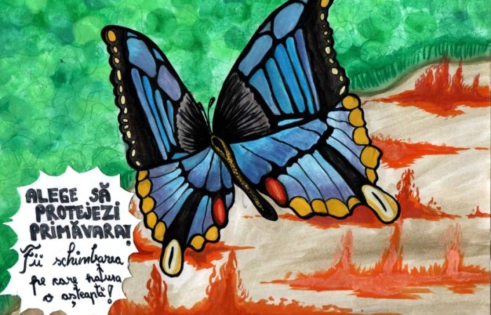 Premii concurs afișe Fruhlingsfest 2026.